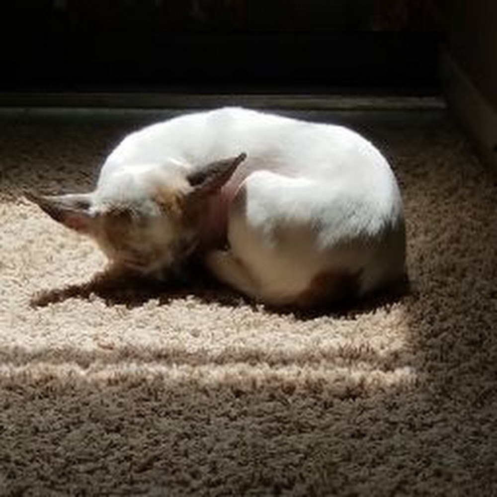 Meet your Posher, Bethany